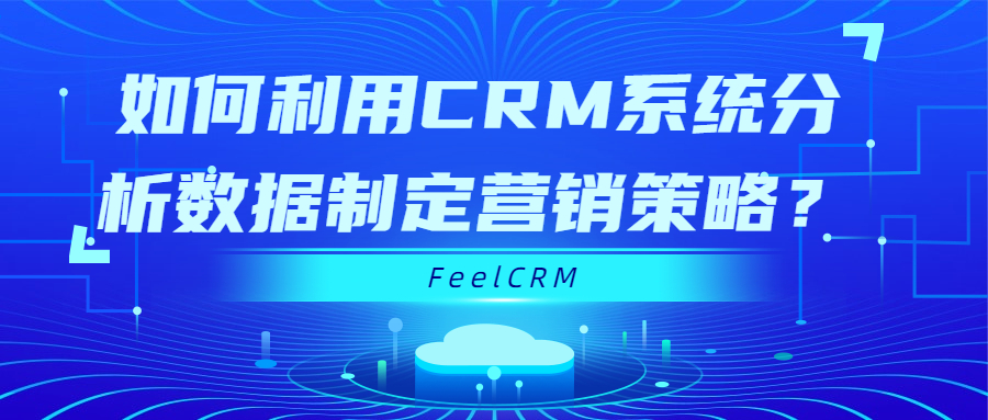 如何利用CRM系统分析客户数据，制定营销策略？